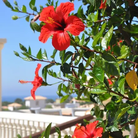 فندق Ponta Grande 3*