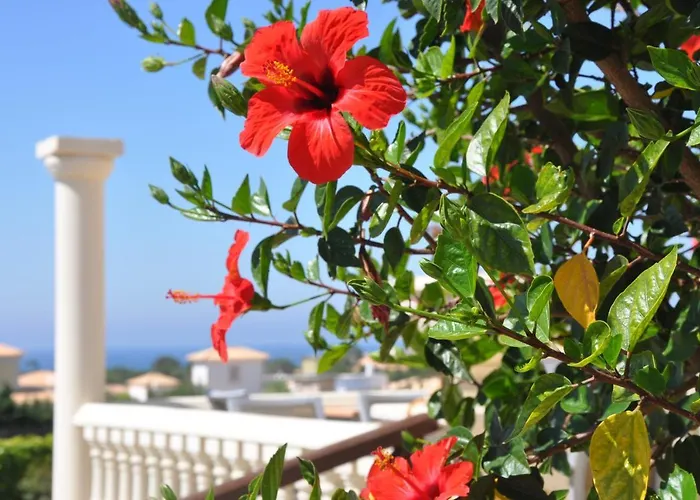 אתר נופש Ponta Grande 4*