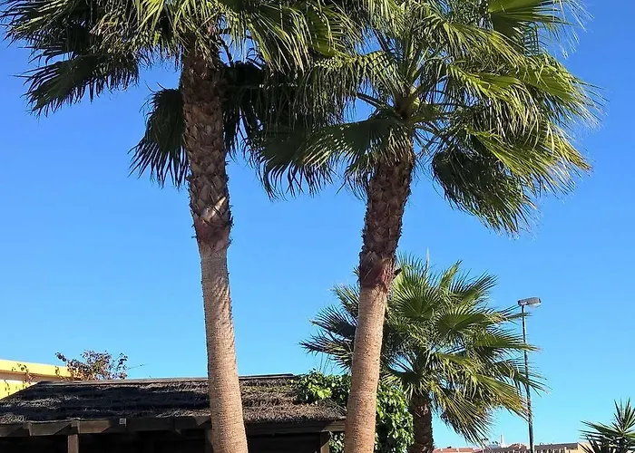 Ponta Grande אתר נופש 4*